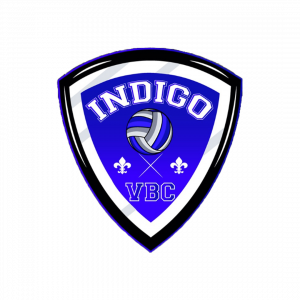 indigo logo (1)