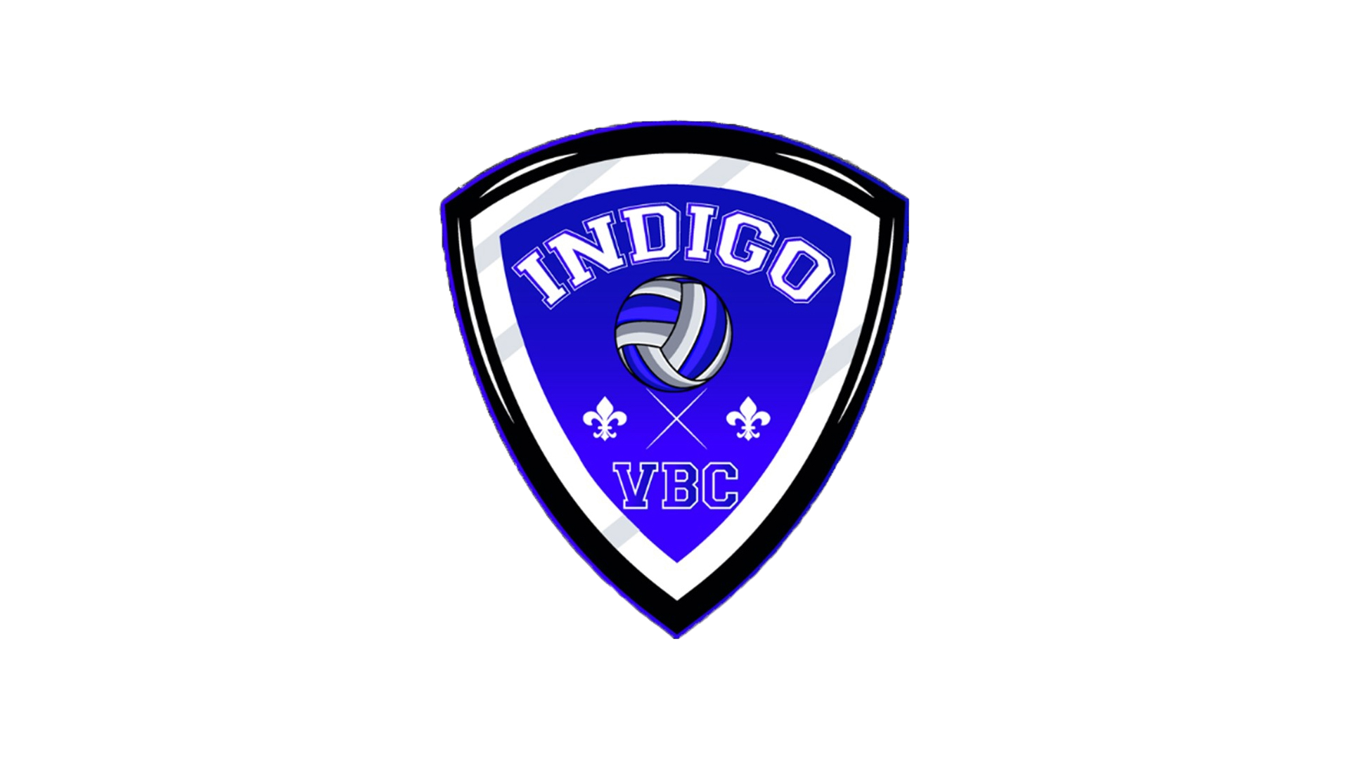 indigo logo (1)
